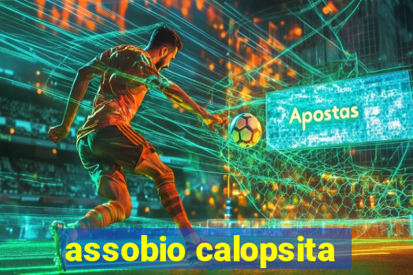 assobio calopsita